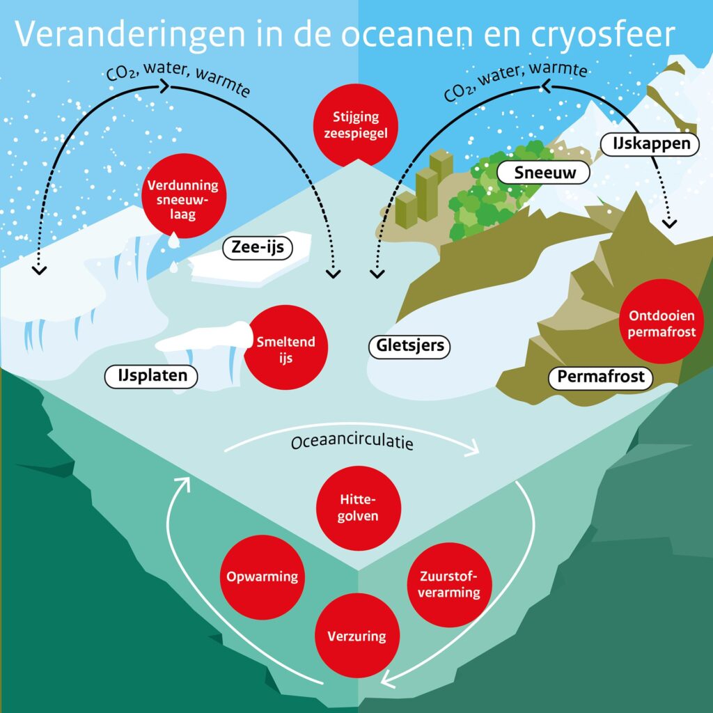 Veranderingen in de oceanen en cryosfeer uitgebeeld in een infographic.
